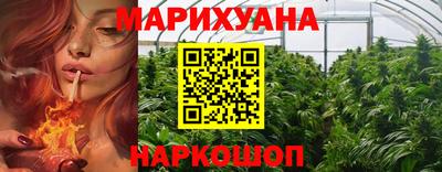трава Новодвинск
