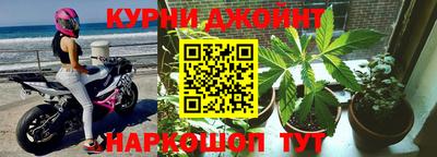 гашик Обнинск