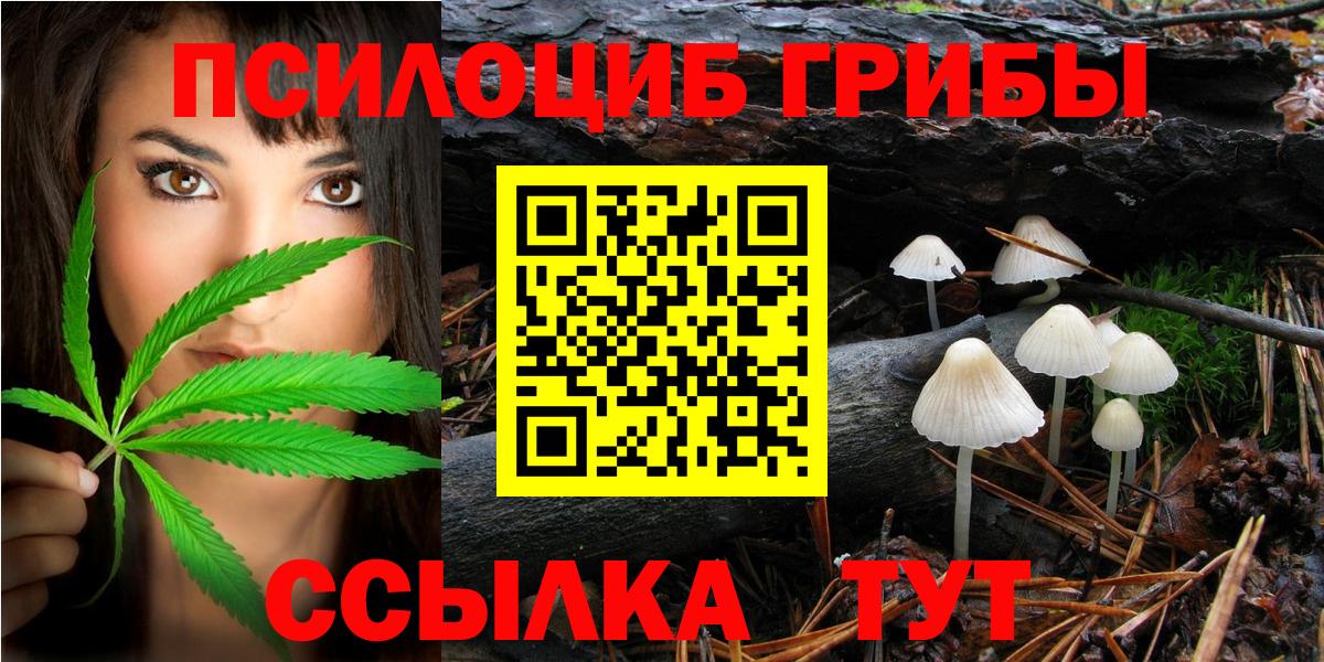 Галлюциногенные грибы GOLDEN TEACHER  Галлюциногенные грибы мицелий  Сосновый Бор  Вход с VPN 