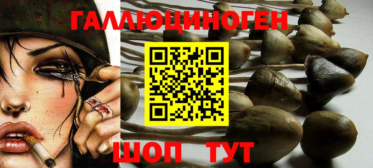 Галлюциногенные грибы мицелий Сосновый Бор